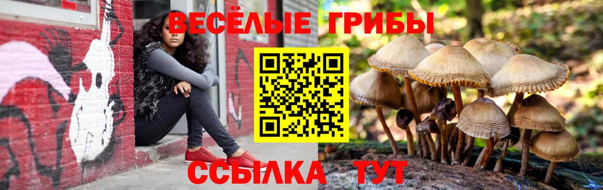 Аргун  Галлюциногенные грибы Psilocybe  Вход с VPN 