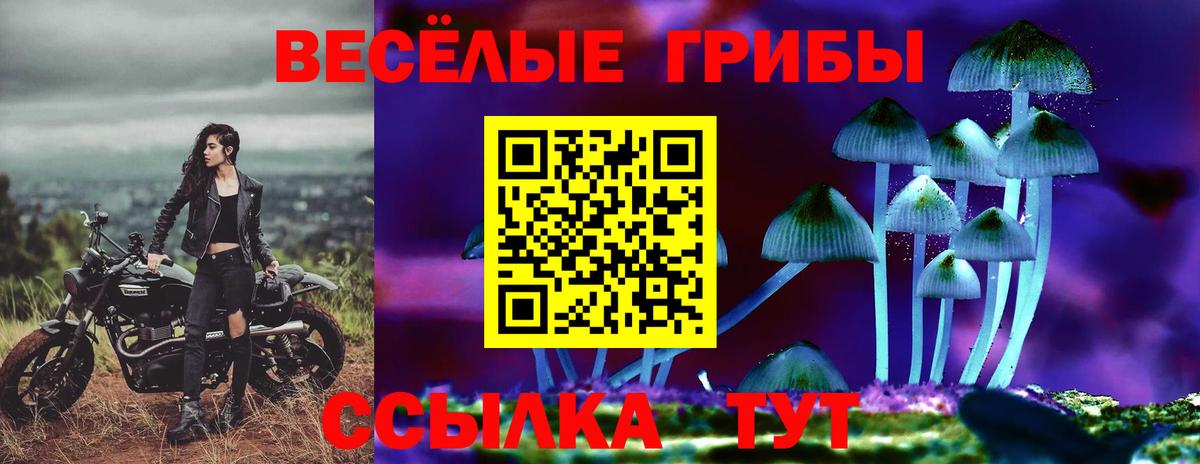 Галлюциногенные грибы прущие грибы Аргун